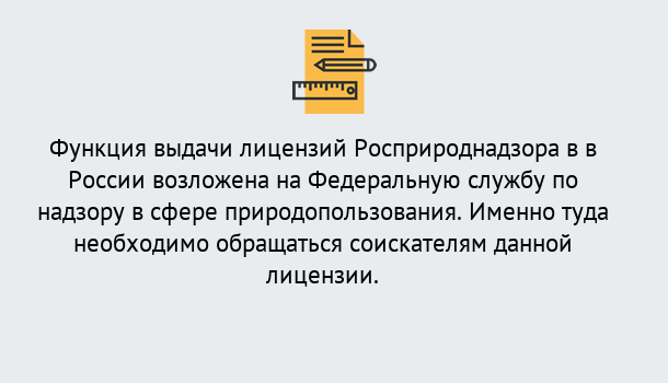 Почему нужно обратиться к нам? Гай Лицензия Росприроднадзора. Под ключ! в Гай