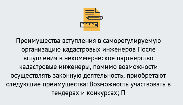 Почему нужно обратиться к нам? Гай Что дает допуск СРО кадастровых инженеров?