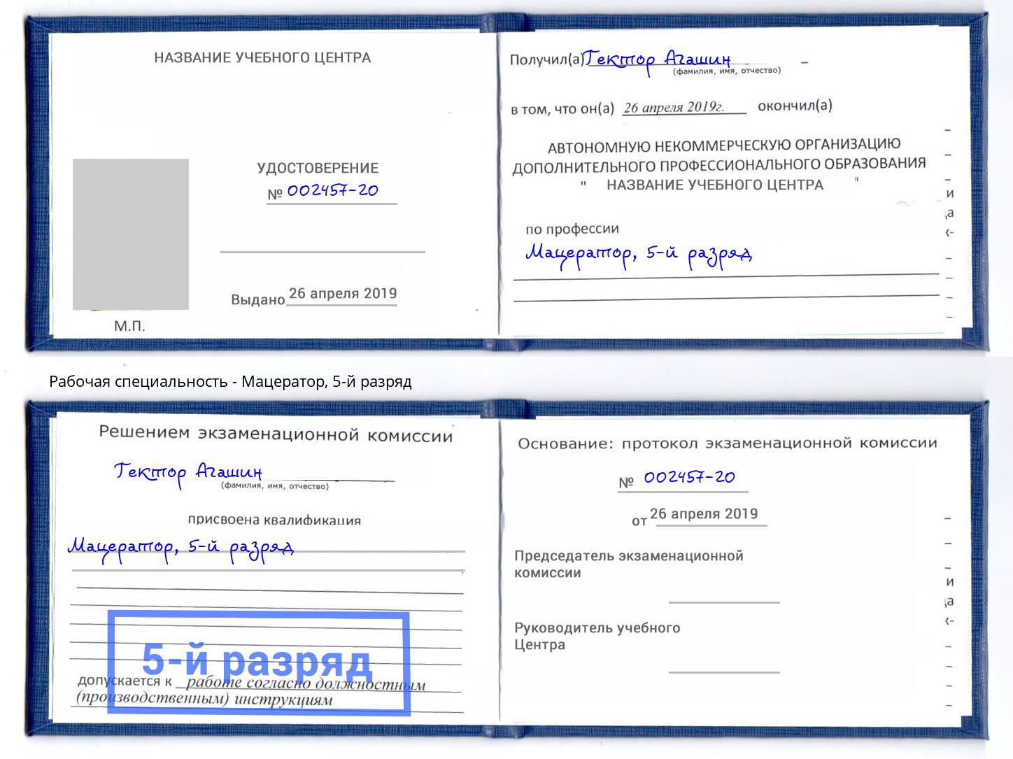 корочка 5-й разряд Мацератор Гай