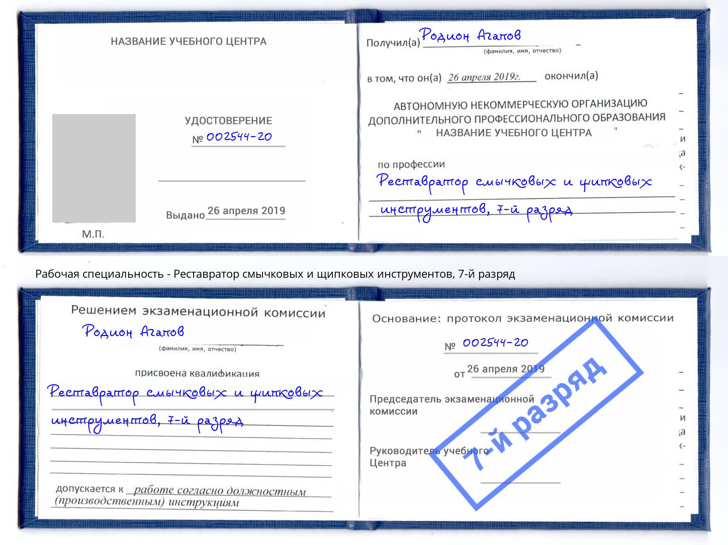 корочка 7-й разряд Реставратор смычковых и щипковых инструментов Гай